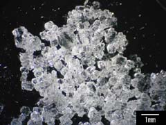 塩の光学顕微鏡像