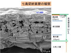 図14　縦断面構造の説明