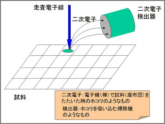 M̎荞ݕ